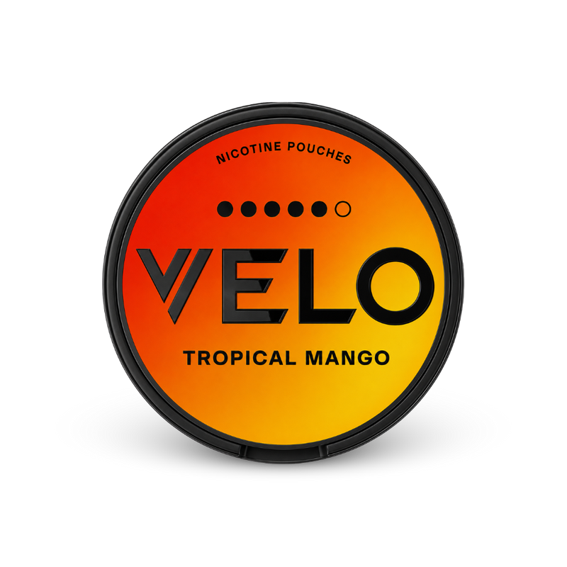 VELO Tropical Mango High Nic – barattolo di bustine di nicotina
