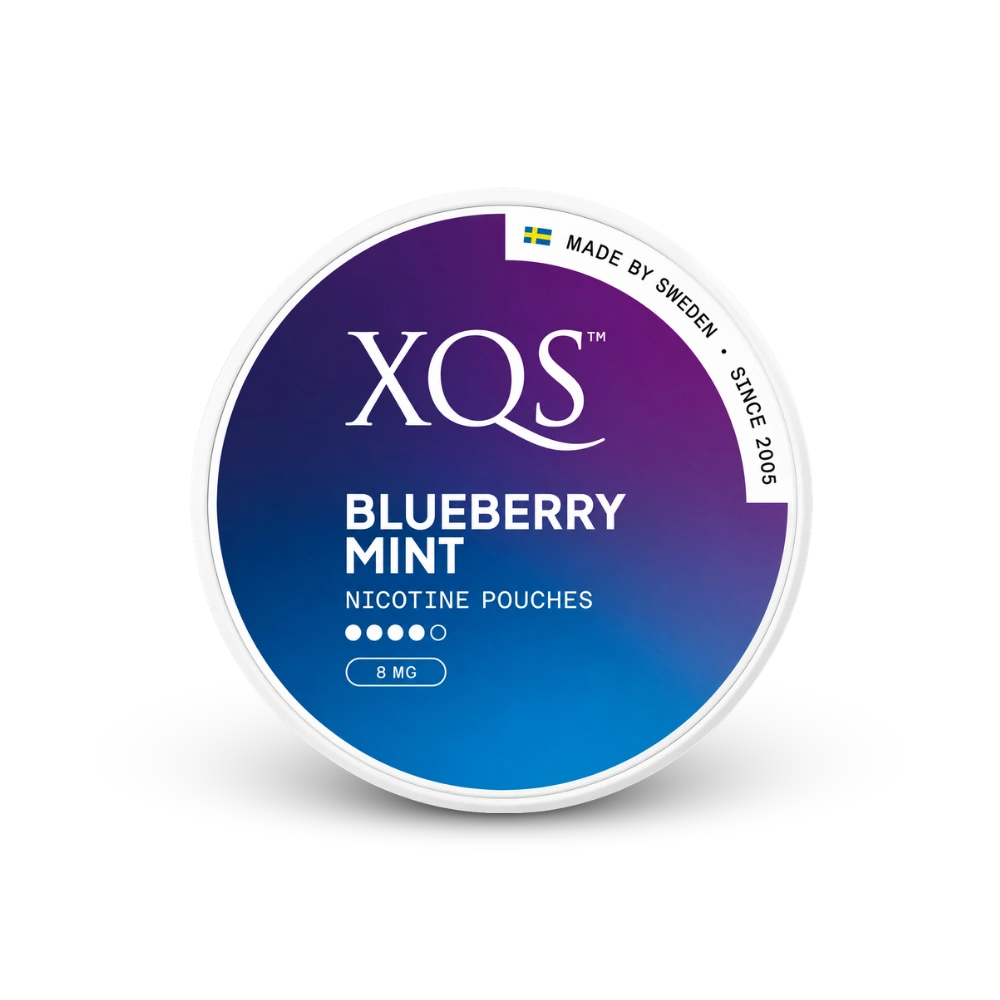 XQS Blueberry Mint Strong – lattina di sacchetti di nicotina