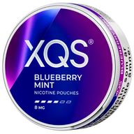 XQS Blueberry Mint Strong
